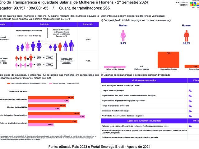 MEPEL publica relatório de transparência salarial referente ao segundo semestre de 2024